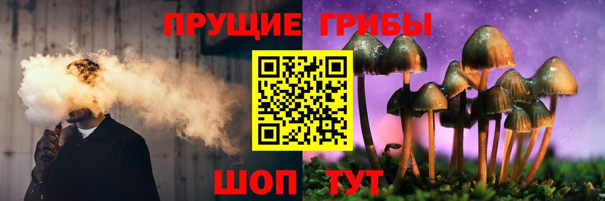 Псилоцибиновые грибы Cubensis Сухой Лог