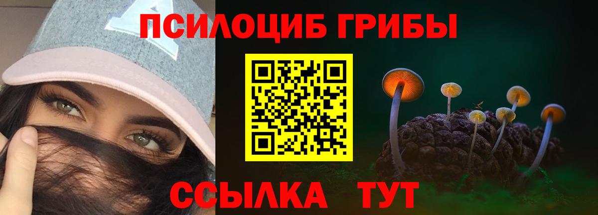 Сухой Лог  Псилоцибиновые грибы Psilocybine cubensis  Вход с VPN 
