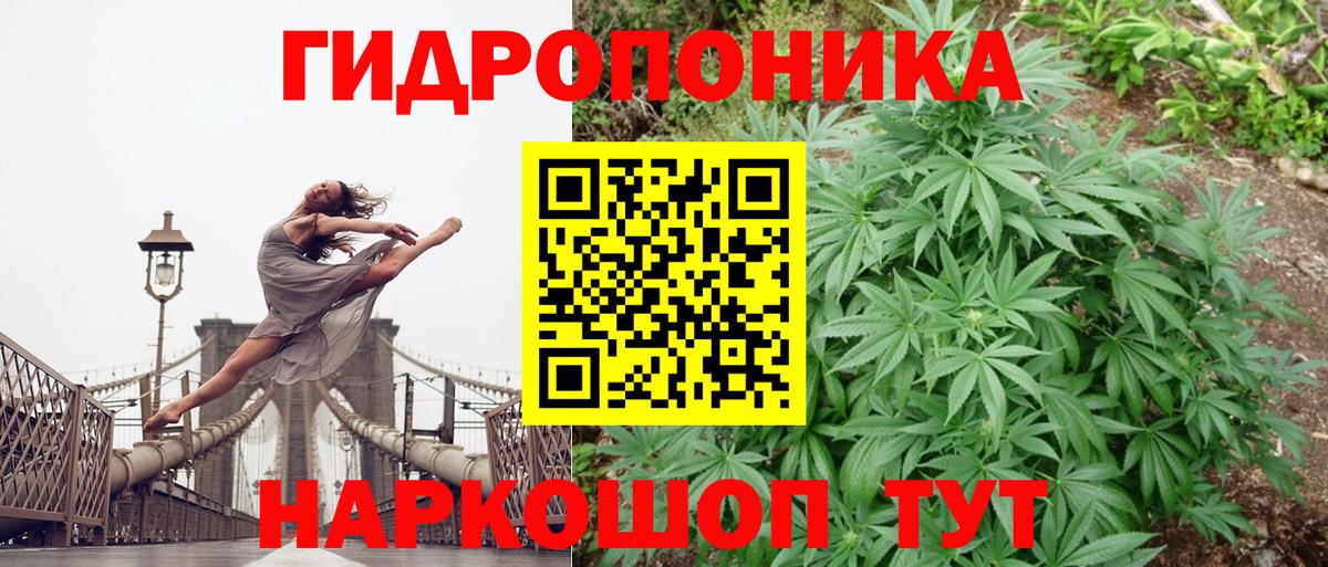 Бошки марихуана гибрид  Вход с VPN  Сухой Лог  Бошки Шишки Ganja 